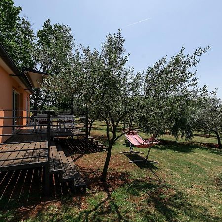 Sun Garden Premium Apartments 弗尔萨尔 外观 照片